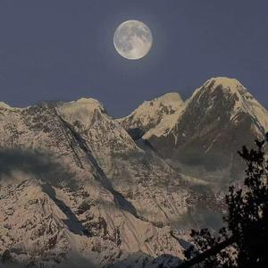 在澡堂里被操的浴仙浴死啊啊在线观看视频
