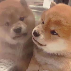 在澡堂里被操的浴仙浴死啊啊在线观看视频
